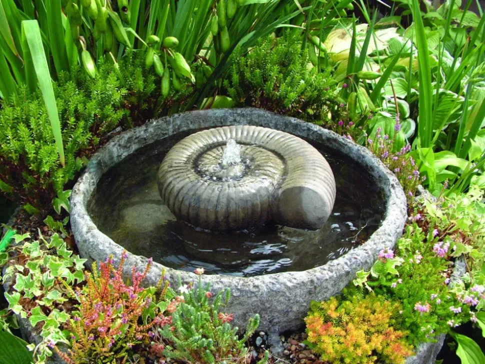 Ammonite Fossil Stone Garden Water Feature