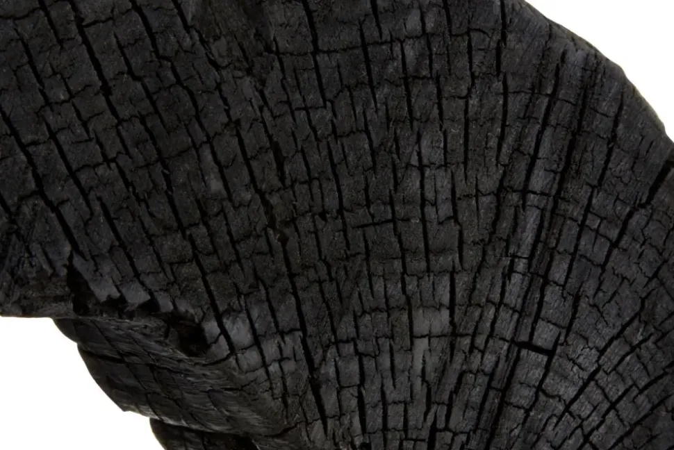 Carbon Halo 53cm Black Wood Indoor Sculpture