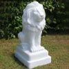 Classic Lion 71cm Marble Resin Garden Statue