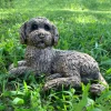 Cockapoo 25cm Bronze Resin Garden Ornament