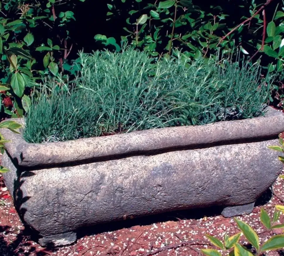 Continental Plant Trough 33cm Stone Garden Planter