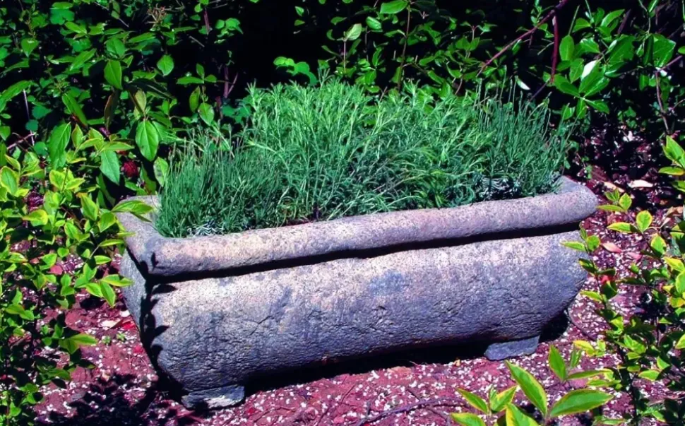Continental Plant Trough 33cm Stone Garden Planter