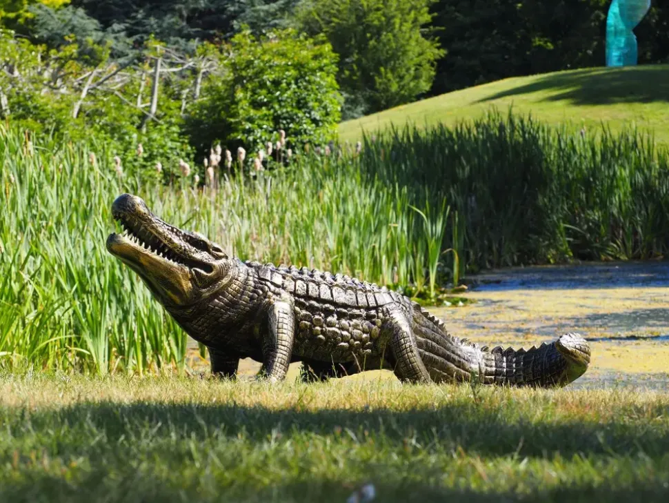 Crocodile Life-Size Bronze Metal Garden Statue