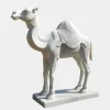 Desert Camel 160cm White Marble Garden Statue v1