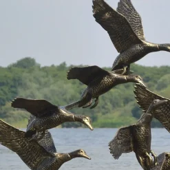 Flight of Ducks Life-Size Bronze Metal Garden Statue