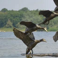Flight of Ducks Life-Size Bronze Metal Garden Statue