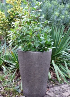 Grand Long Tom Vase Stone Garden Planter