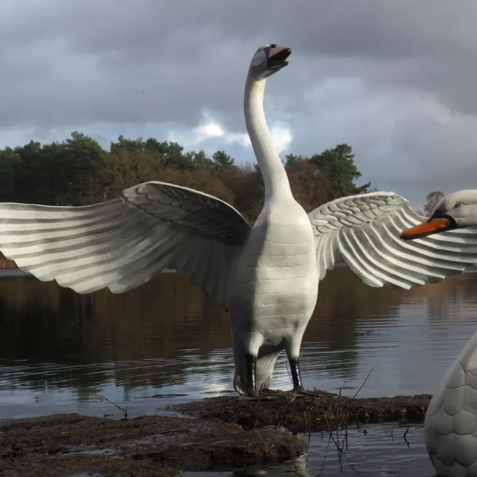 Grand Pair of Swans Antique White Metal Garden Statues