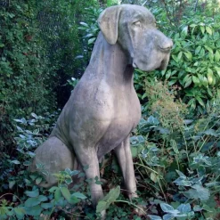 Great Dane Male Dog Stone Garden Statue