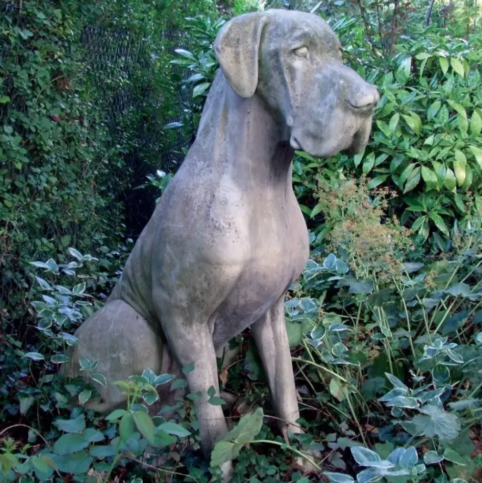 Great Dane Male Dog Stone Garden Statue