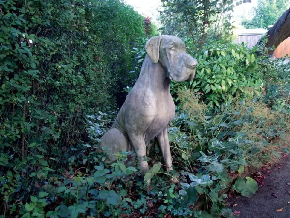 Great Dane Male Dog Stone Garden Statue