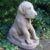 Great Dane Puppy Stone Garden Ornament