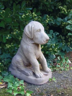 Great Dane Puppy Stone Garden Ornament