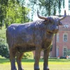 Highland Cow Bronze Metal Garden Statue