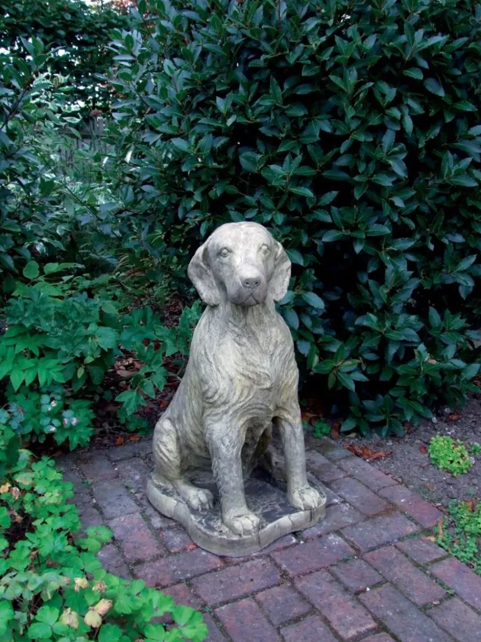 Irish Setter Stone Garden Statue