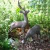 Large Stag & Doe Deer Bronze Garden Statues