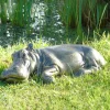 Lazy Hippo Bronze Metal Garden Statue
