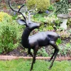 Majestic Deer Bronze Metal Garden Statue