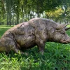 Majestic Pig 36cm Bronze Resin Garden Ornament