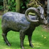 Manx Loaghtan Ram Life-Size Bronze Metal Garden Statue