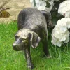Naughty Dog Bronze Metal Garden Ornament