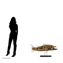 Razorfin Stainless Steel Indoor Sculpture
