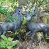 Stag & Doe Bronze Metal Garden Statues