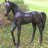 Standing Foal Bronze Metal Garden Statue