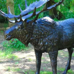Wild Moose Life-Size Bronze Metal Garden Statue