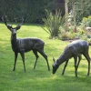 Wild Stag & Doe Life-Size Bronze Garden Statues