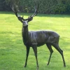 Wild Stag Life-Size 148cm Bronze Metal Garden Statue